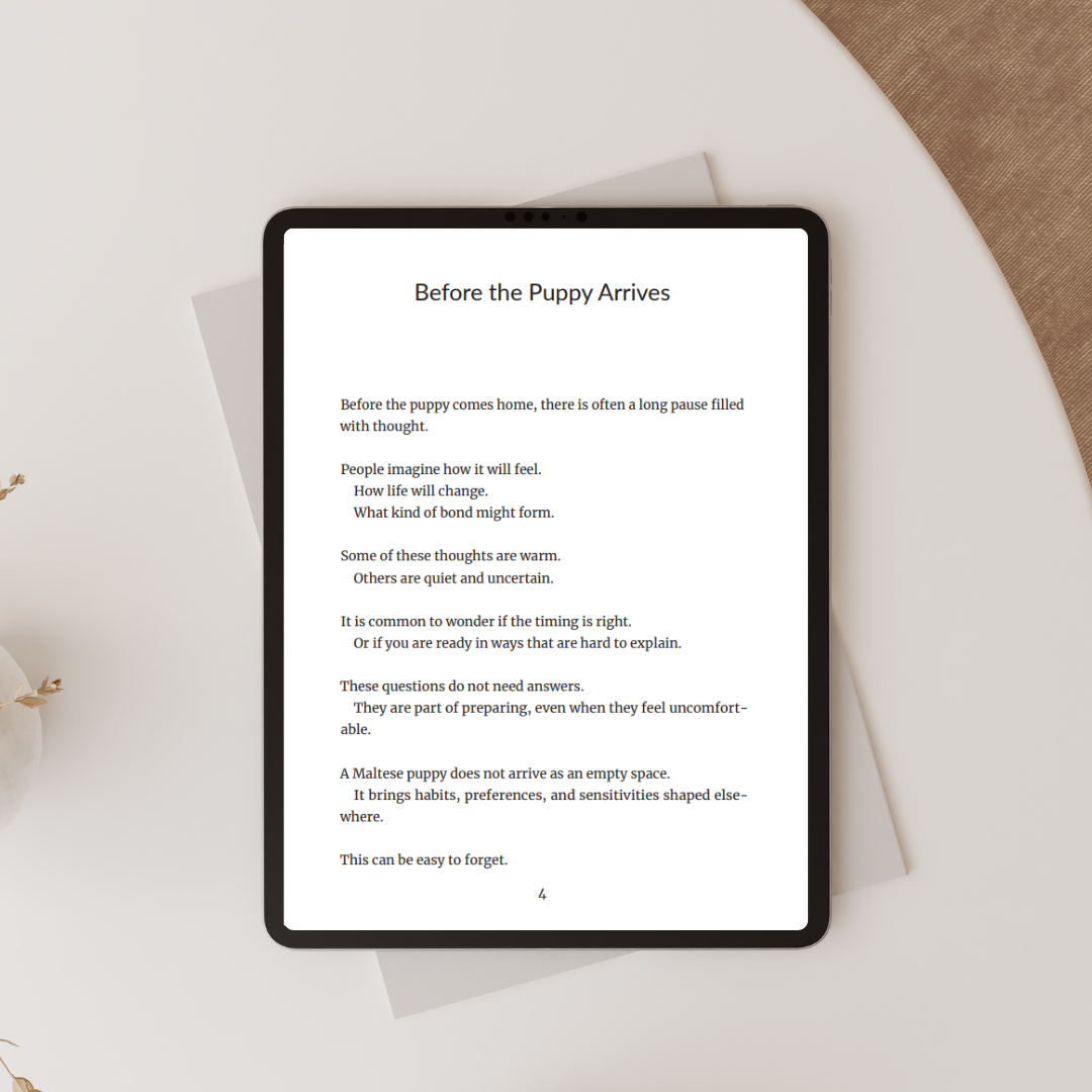 Life Will Never Be the Same