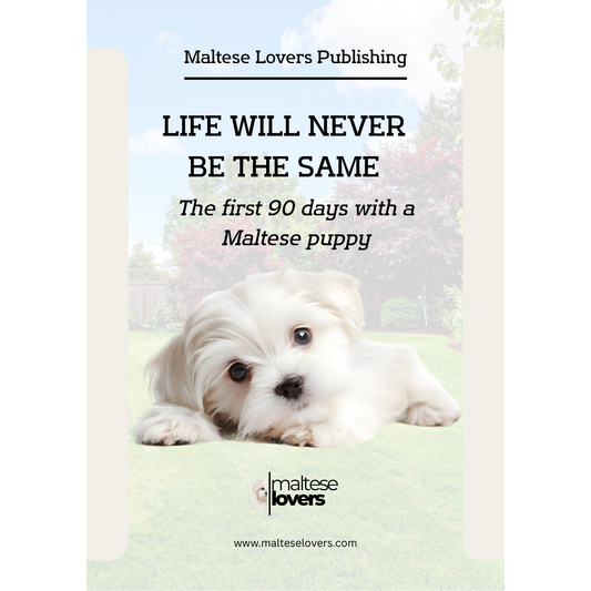 Life Will Never Be the Same