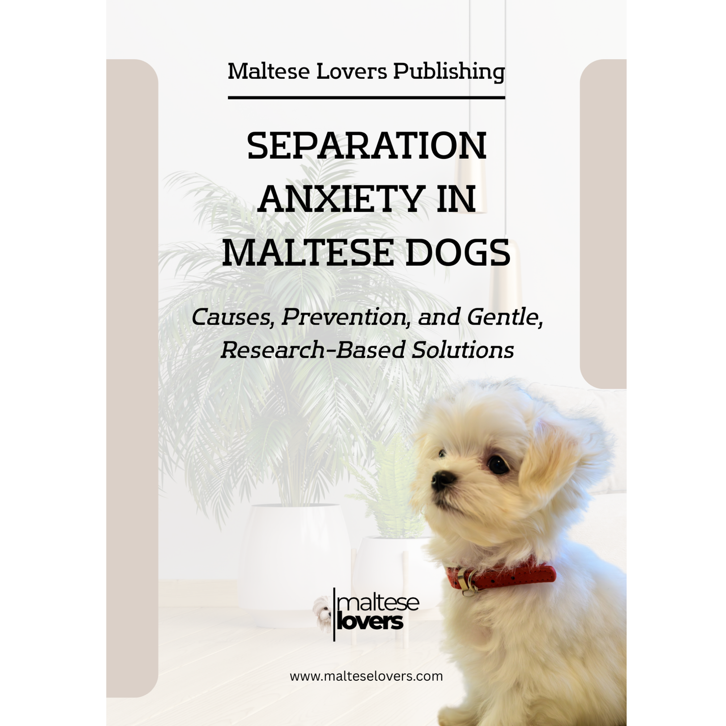 Separation Anxiety in Maltese Dogs