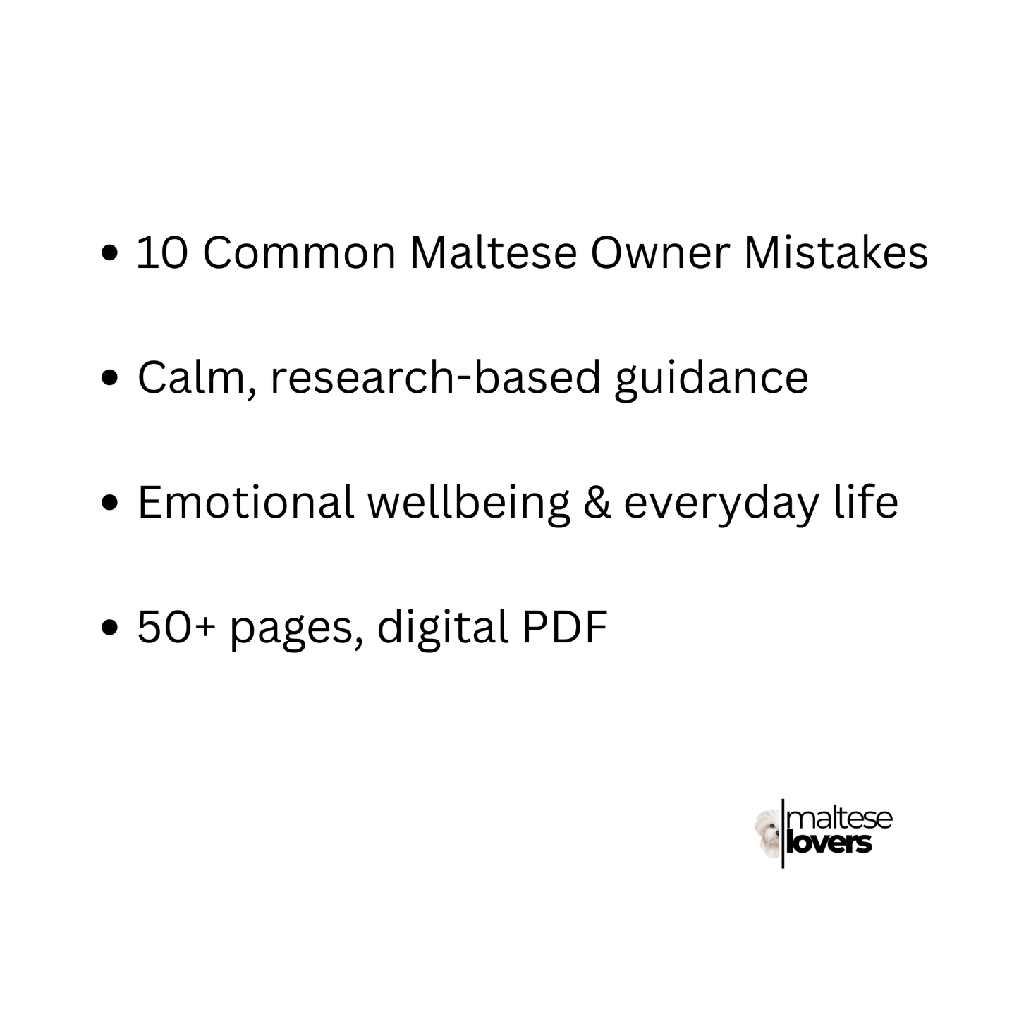 10 Mistakes Maltese Owners Make (And How to Avoid Them)