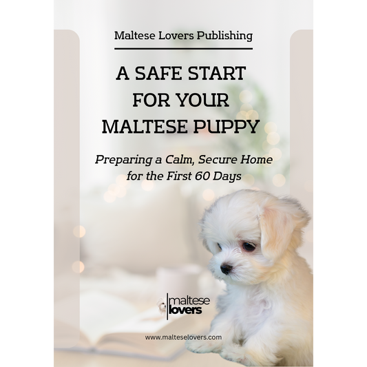 A Safe Start for Your Maltese Puppy